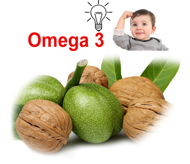 Tác dụng của quả óc chó đối với thai nhi