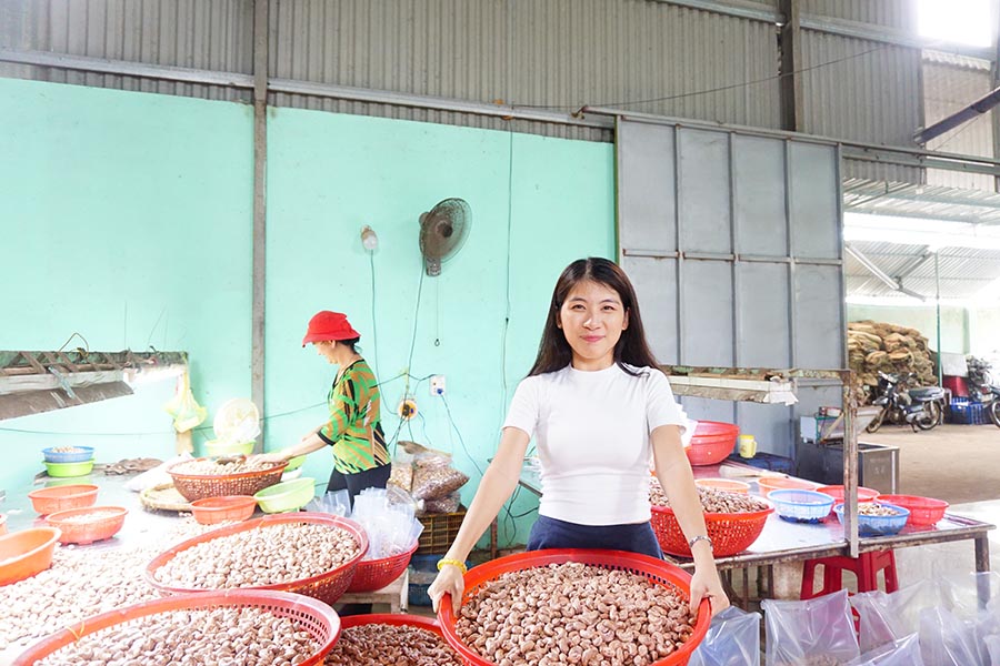 Bảng giá hạt điều