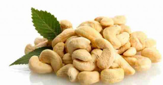 Cashew nuts in Vietnam