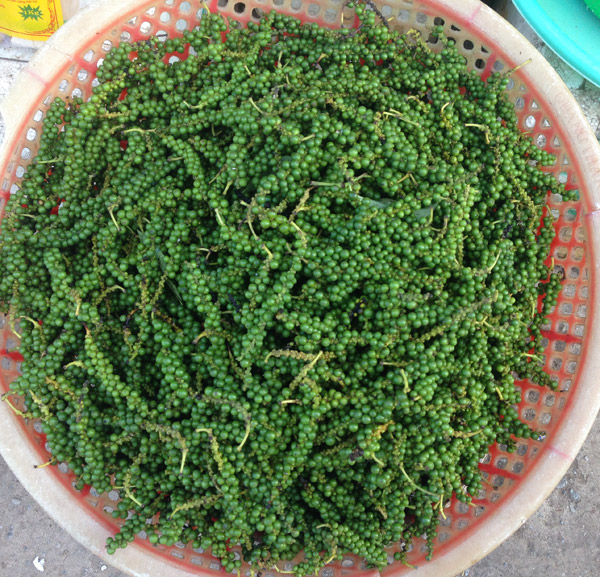 Ăn tiêu nhiều có tốt không?