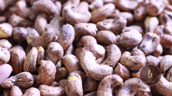 Lựa sâu hạt điều