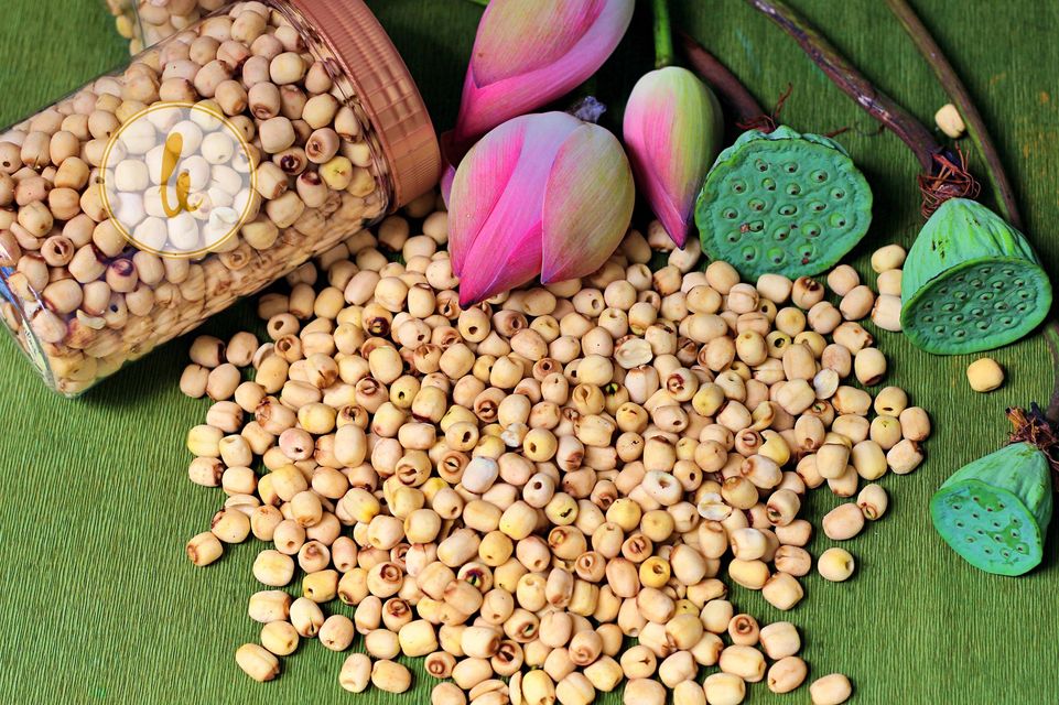 hạt sen nhà Lê