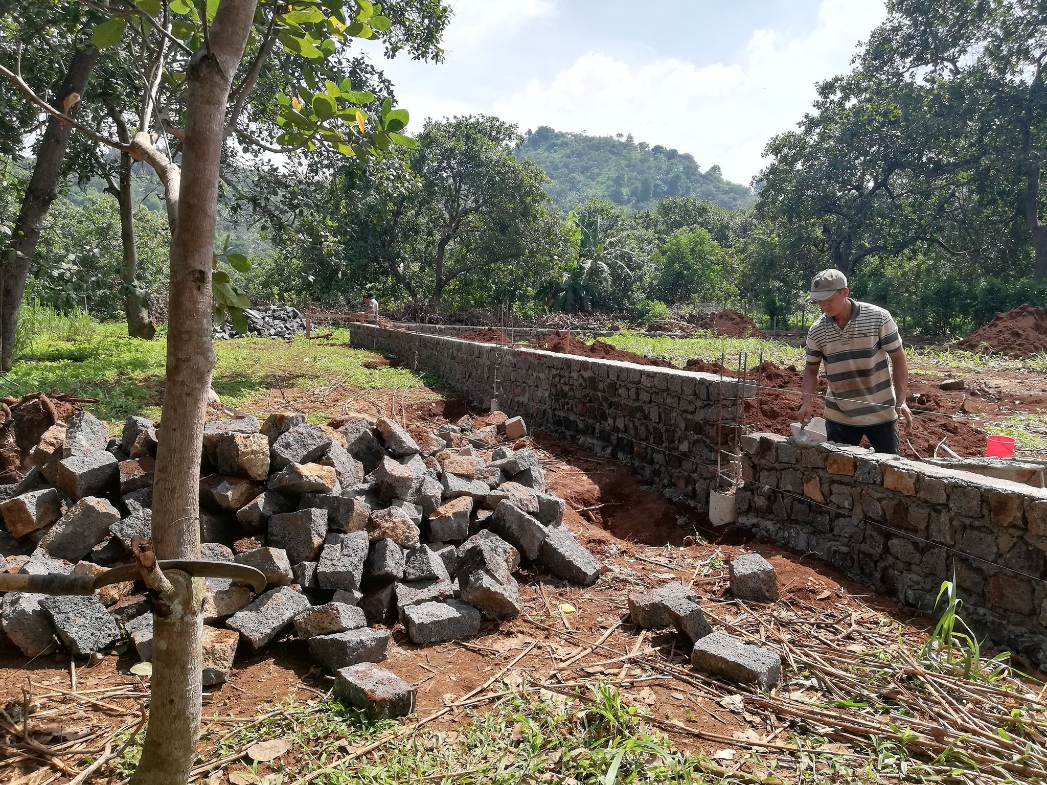 Nhà máy chế biến hạt điều chuẩn xuất khẩu Mỹ và châu Âu của LÊ